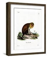 Monk Saki-null-Framed Giclee Print