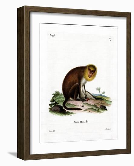 Monk Saki-null-Framed Giclee Print