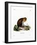 Monk Saki-null-Framed Giclee Print