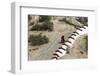 Monk walking the stairs in Drepung Monastery, Tibet, Lhasa, Tibet, China-Keren Su-Framed Photographic Print