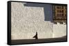 Monk walks through the courtyard of Rinpung Dzong Monastery, Bhutan.-Brenda Tharp-Framed Stretched Canvas