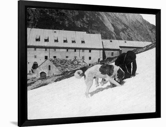 Monk with St. Bernard's-null-Framed Photographic Print