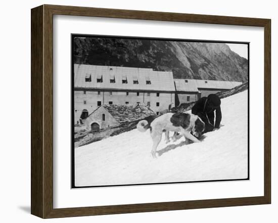 Monk with St. Bernard's-null-Framed Premium Photographic Print