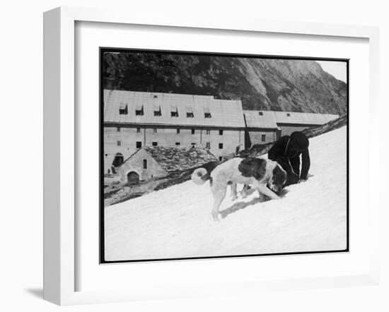 Monk with St. Bernard's-null-Framed Premium Photographic Print