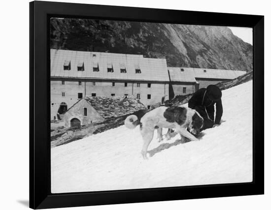 Monk with St. Bernard's-null-Framed Photographic Print