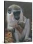 Monkey 2-Michael Jackson-Stretched Canvas