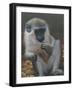 Monkey 2-Michael Jackson-Framed Giclee Print