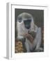 Monkey 2-Michael Jackson-Framed Giclee Print