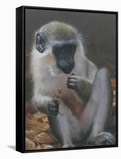 Monkey 2-Michael Jackson-Framed Stretched Canvas