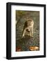 Monkey and Baby, Sacred Monkey Forest, Bali, Indonesia, Southeast Asia, Asia-Laura Grier-Framed Photographic Print