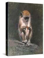 Monkey and Berries-Michael Jackson-Stretched Canvas