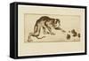 Monkey and Chestnuts, 19Th Century (Etching & Roulette)-Henri-Charles Guérard-Framed Stretched Canvas
