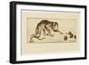 Monkey and Chestnuts, 19Th Century (Etching & Roulette)-Henri-Charles Guérard-Framed Giclee Print