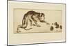 Monkey and Chestnuts, 19Th Century (Etching & Roulette)-Henri-Charles Guérard-Mounted Giclee Print