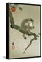 Monkey and Persimmon-Koson Ohara-Framed Stretched Canvas