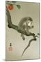 Monkey and Persimmon-Koson Ohara-Mounted Giclee Print