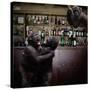 Monkey Bar (Drunk Monkeys) Art Poster Print-null-Stretched Canvas