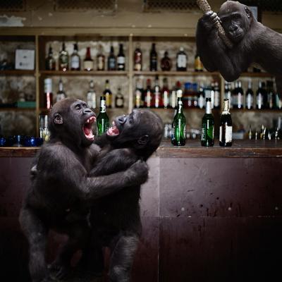 &lsquo;Monkey Bar (Drunk Monkeys) Art Poster Print&rsquo; Prints | AllPosters.com