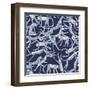 Monkey Blue-Sharon Turner-Framed Art Print