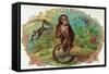 Monkey Brand Cigar Box Label-Lantern Press-Framed Stretched Canvas