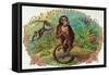 Monkey Brand Cigar Box Label-Lantern Press-Framed Stretched Canvas