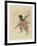 Monkey Costumed for a New Year's Dance, Early 19th Century-Ryuryukyo Shinsai-Framed Giclee Print