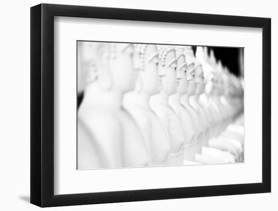 Monkey Forest Is Located in the Xe Champhone Region of Laos-Micah Wright-Framed Photographic Print