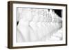 Monkey Forest Is Located in the Xe Champhone Region of Laos-Micah Wright-Framed Photographic Print