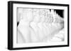 Monkey Forest Is Located in the Xe Champhone Region of Laos-Micah Wright-Framed Photographic Print