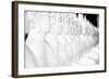 Monkey Forest Is Located in the Xe Champhone Region of Laos-Micah Wright-Framed Photographic Print