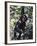 Monkey Hanging from a Tree Branch-Nigel Pavitt-Framed Photographic Print