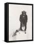 Monkey Holding a Golf Club-null-Framed Stretched Canvas