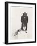 Black Frame