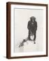 Brown Frame