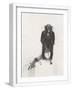 White Frame