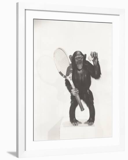 Monkey Holding a Tennis Racket and Ball-null-Framed Photo