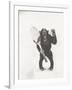 Monkey Holding a Tennis Racket and Ball-null-Framed Photo