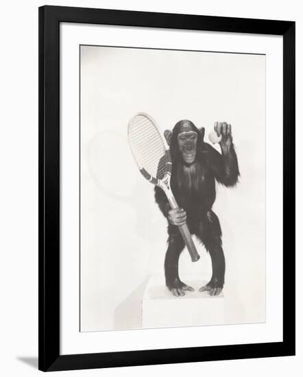 Monkey Holding a Tennis Racket and Ball-null-Framed Photo