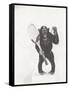 Monkey Holding a Tennis Racket and Ball-null-Framed Stretched Canvas