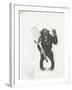 Monkey Holding a Tennis Racket and Ball-null-Framed Photo