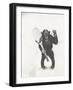 Monkey Holding a Tennis Racket and Ball-null-Framed Photo