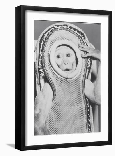 Monkey In a Spacesuit-null-Framed Photographic Print