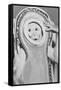 Monkey In a Spacesuit-null-Framed Stretched Canvas