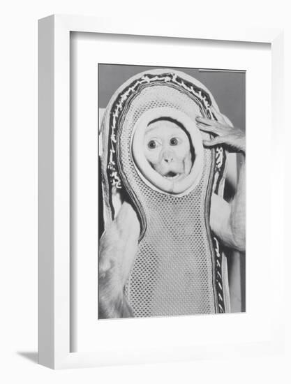 Monkey In a Spacesuit-null-Framed Photographic Print