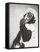 Monkey in Coonskin Cap Deep in Thought-null-Framed Stretched Canvas