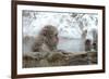 Monkey in Hot Spring-Yury Zap-Framed Photographic Print