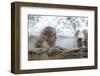 Monkey in Hot Spring-Yury Zap-Framed Photographic Print