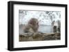 Monkey in Hot Spring-Yury Zap-Framed Photographic Print