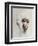 Monkey in White, 2005,-Peter Jones-Framed Giclee Print