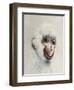 Monkey in White, 2005,-Peter Jones-Framed Giclee Print